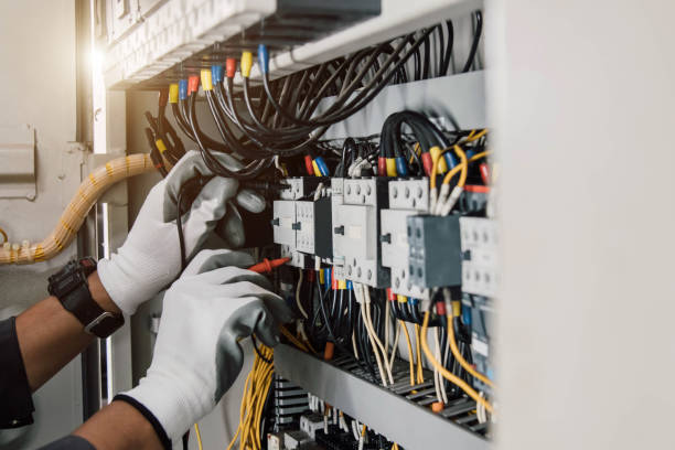 Best Electric Panel Repair  in Galatia, IL